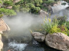 -罗红摄影艺术馆