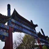 太久不动了，可着整个公园溜达了一大圈