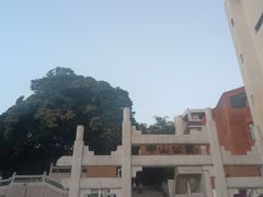 -中山公园(石岐街道)