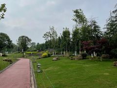 -铁山坪森林公园