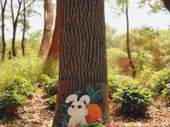 -上海共青森林公园