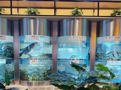 -老船舫·现做活鲜鱼馆(东郊记忆店)