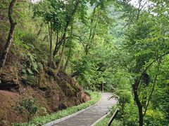 -颛顼龙洞旅游景区