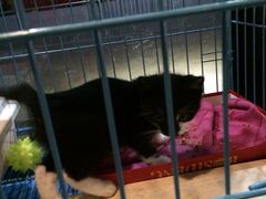 iphone_upload_pic-赢吧Bliss音乐酒吧