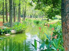 -人民公园(罗湖区)