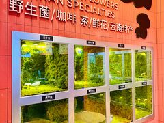 -芸山季·云南野生菌火锅(宝能环球汇店)