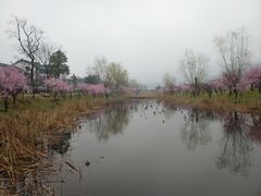-石塘人家