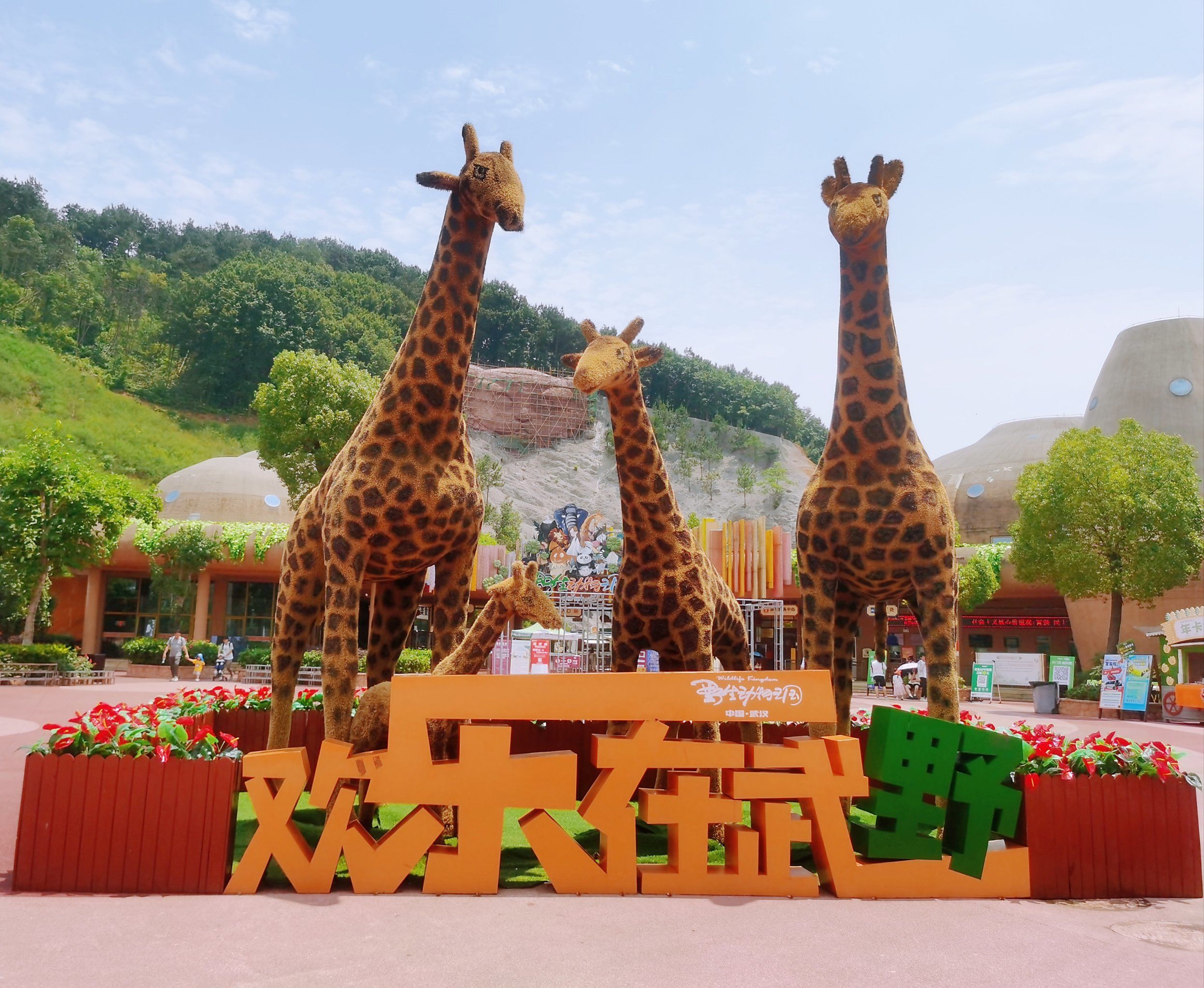 小动物们都是最好的治愈师