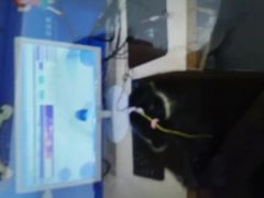 -竞思注意力·专注力·学习能力训练(广开中心)