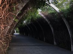 -天津东丽湖风景区