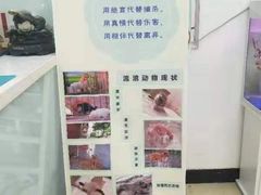 -特一安24小时宠物医院·骨科·中兽医