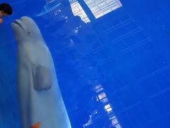 -泉城欧乐堡海洋极地世界