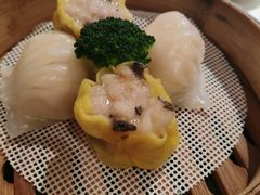 -南海渔村(珠江新城店)