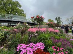 -上海植物园-4号门售票处