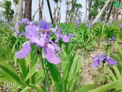 -白鹭湾湿地公园