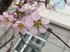 -哈尔滨商业大学(南校区)