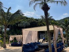 -精酿农场Brew Farm·沙漠绿洲餐厅