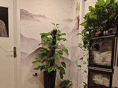 -领享养生会所·采耳·SPA按摩(厦门吕厝店)