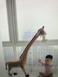 -纸飞机儿童摄影(远洋店)