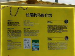 -杭州湖滨in77