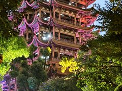 -黄鹤楼公园(黄鹤楼)