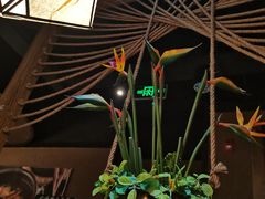 -云海肴·云南小炒·汽锅鸡(天津国金汇店)