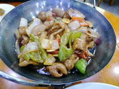 -全乐鱼馆·淳牌有机鱼直营店
