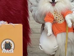 -佛山京华广场MALL