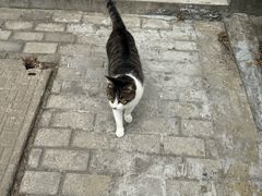 -苏州工学院(东湖校区)