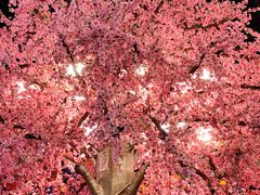 -王府井步行街