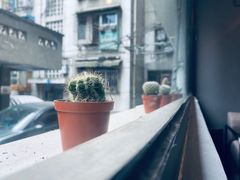 景观位-NokNok Coffee(宽窄巷子店)