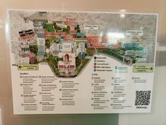 -香港大学