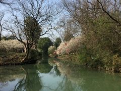 -西溪国家湿地公园