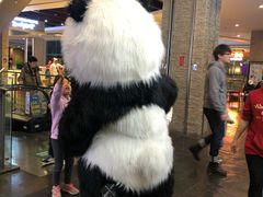 -眉州东坡(远洋未来广场店)