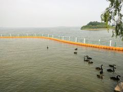 -天津东丽湖风景区
