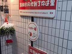 -有喵·猫咖·狗咖·30几只猫10只小狗(岗厦店)