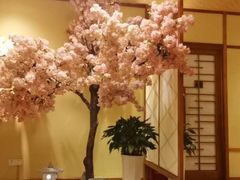 -汤泉良子(金源店)