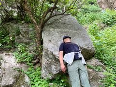 -王顺山国家森林公园