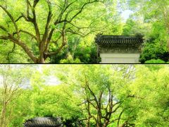 -深圳国际园林花卉博览园