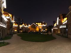 -天津津利华酒店