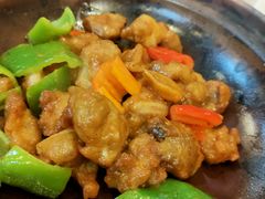 -清新鸡沙田乳鸽店(金融店)