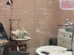 -FAELING PETS美天灵宠物(合生汇店)