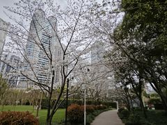 -陆家嘴中心绿地