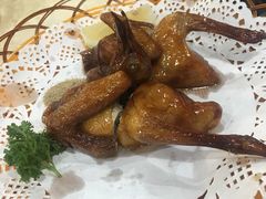 -一煲鸽