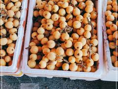 -塘栖枇杷特色园区