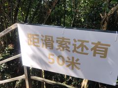 -呀诺达热带雨林