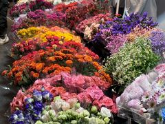 -循礼门鲜花花市(武汉循礼门店)