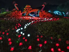 -东南花都花博园