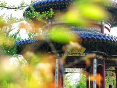 -迎泽公园