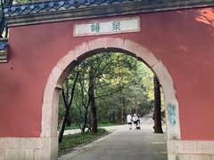 -灵谷景区